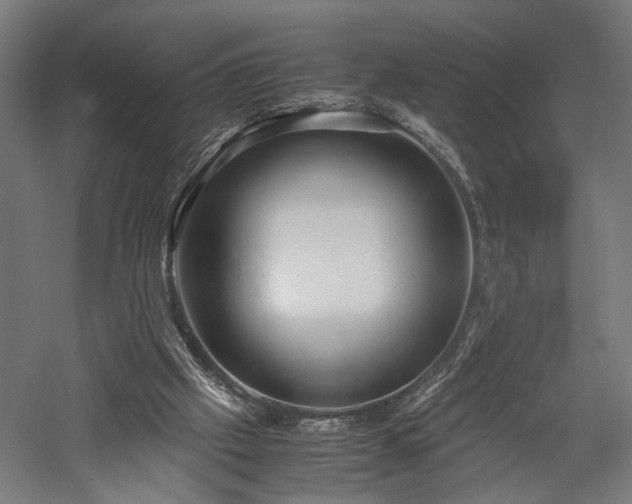 X0000057560057200509231210