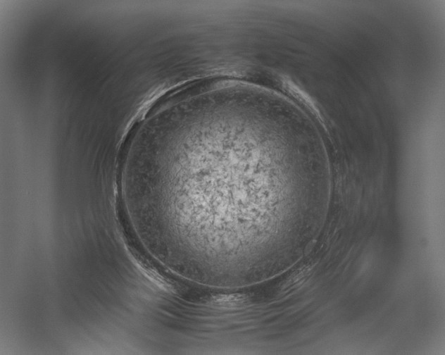 X0000057560059200509231210