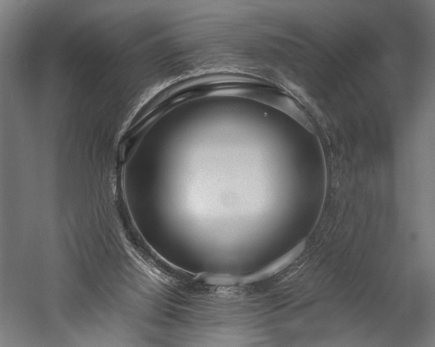 X0000057560060200509231210