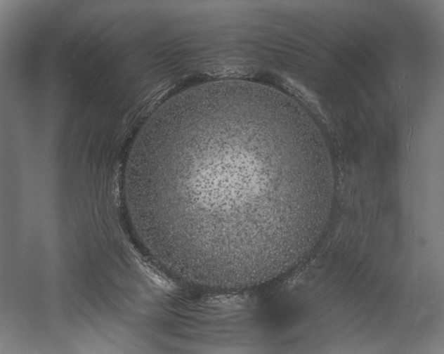 X0000057560065200509231210