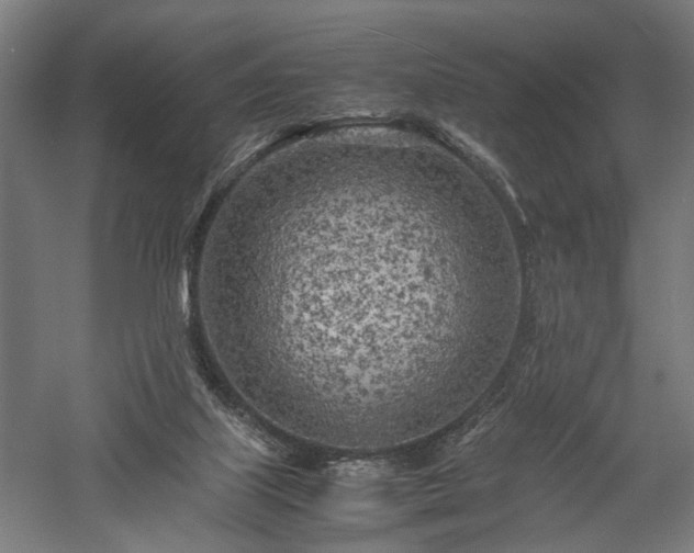 X0000057560067200509231210