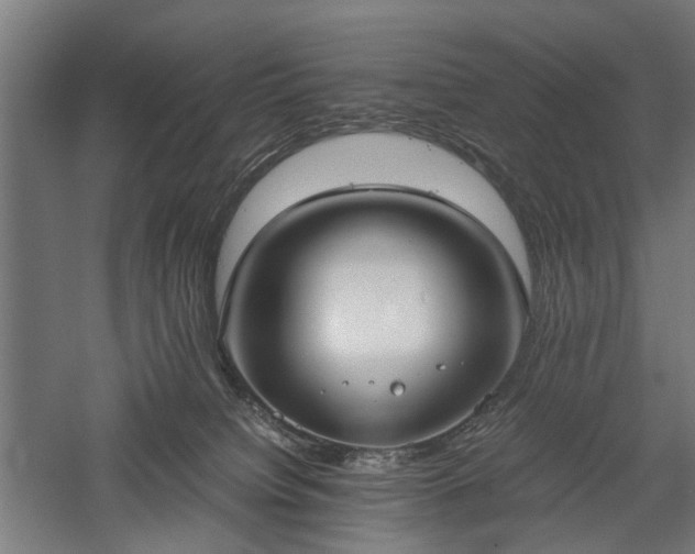 X0000057560084200509231210