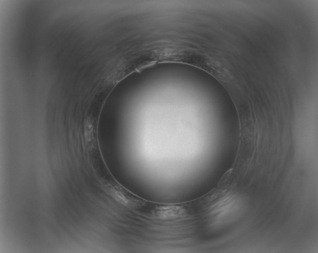 X0000057560087200509231210