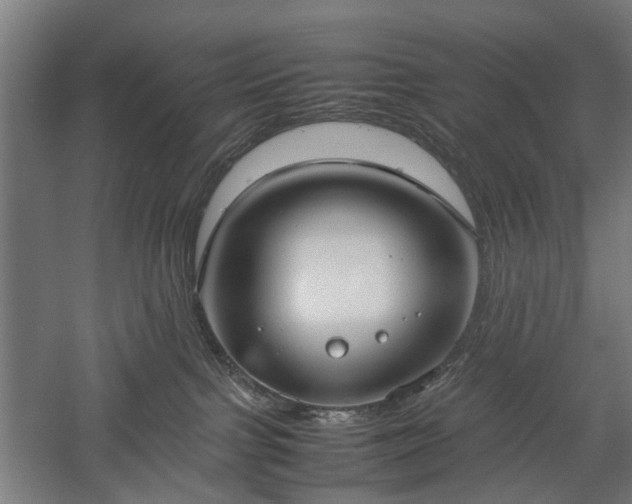 X0000057560091200509231210