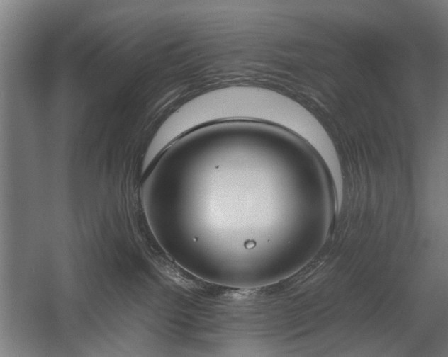 X0000057560092200509231210