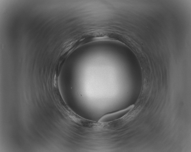 X0000057560096200509231211