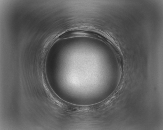 X0000057560097200509231210