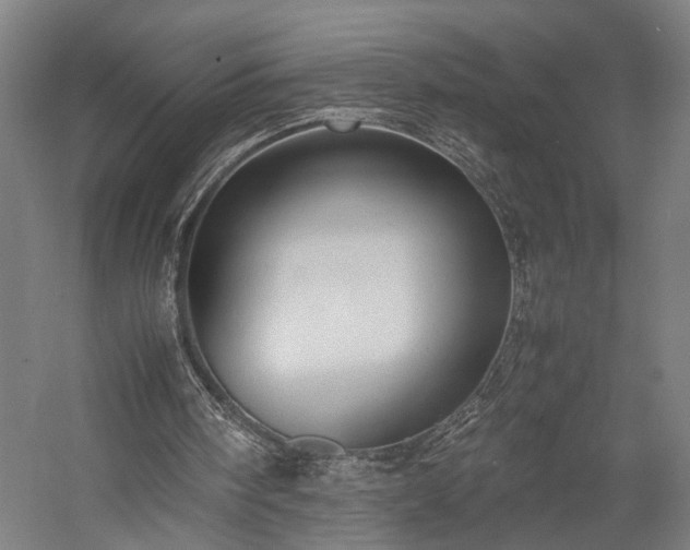 X0000057560098200509231210