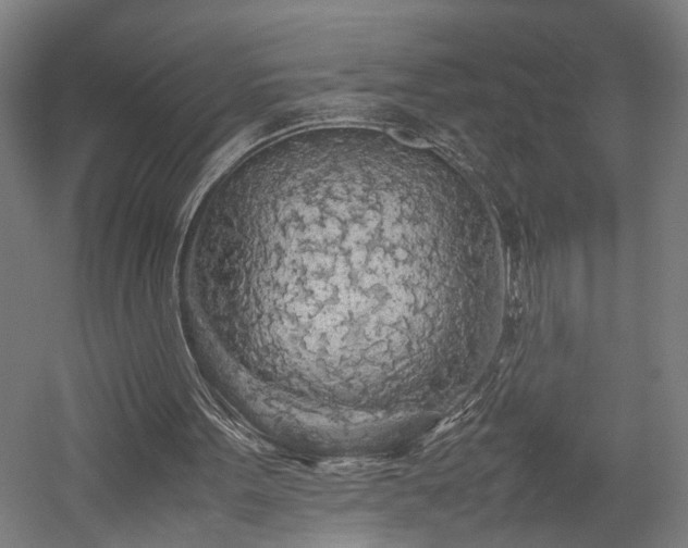 X0000057560099200509231210