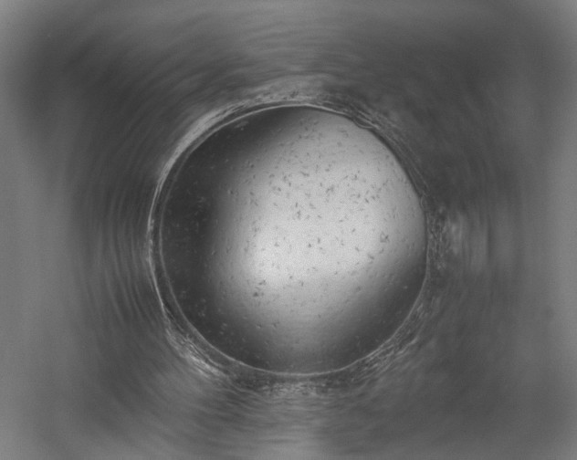 X0000057560100200509231210