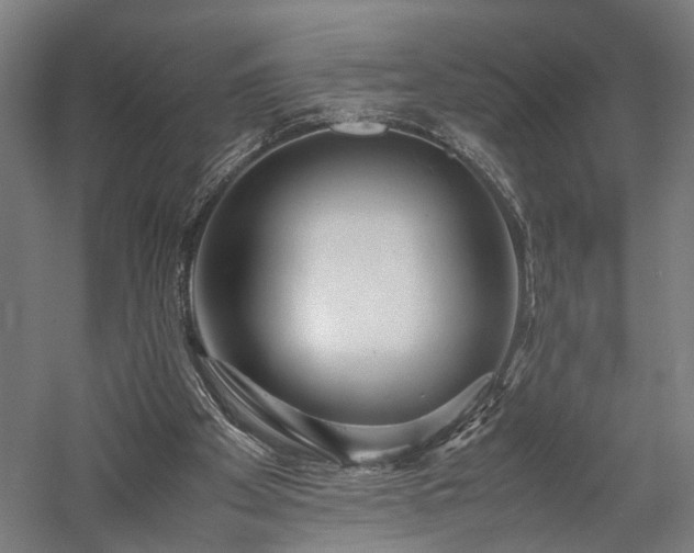 X0000057560105200509231210