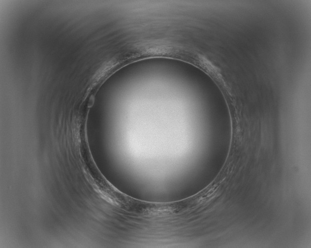 X0000057560106200509231210