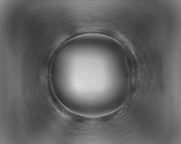 X0000057560107200509231210