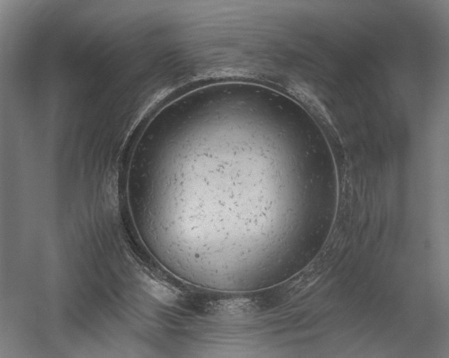 X0000057560108200509231210