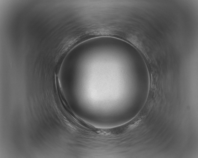 X0000057560109200509231210