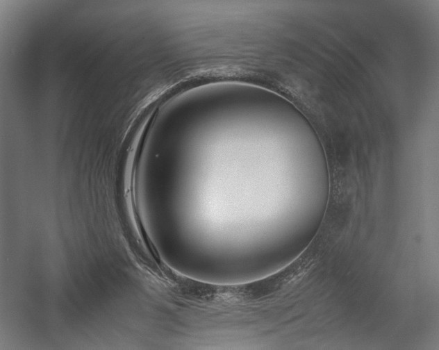 X0000057560111200509231209