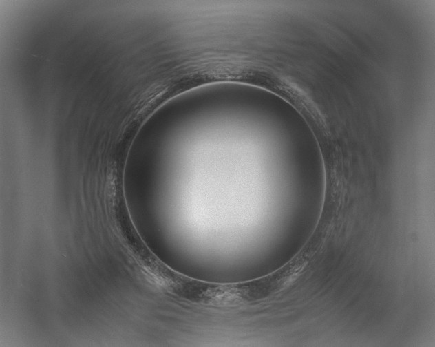 X0000057560113200509231209