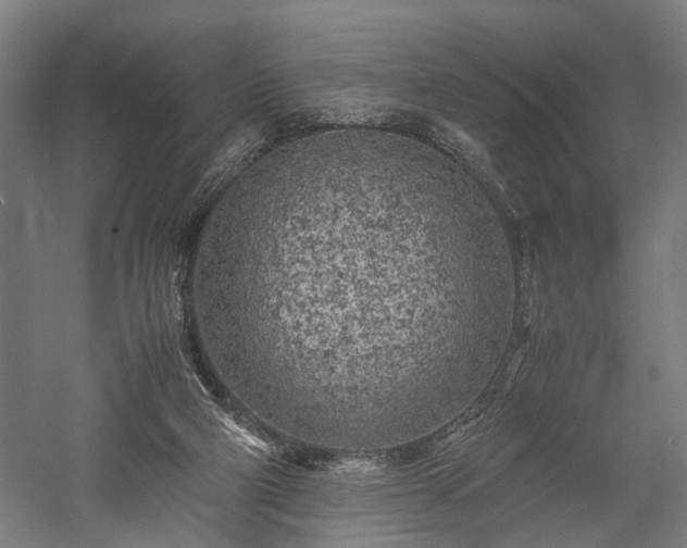 X0000057560114200509231209