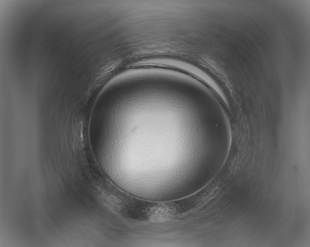 X0000057560115200509231209