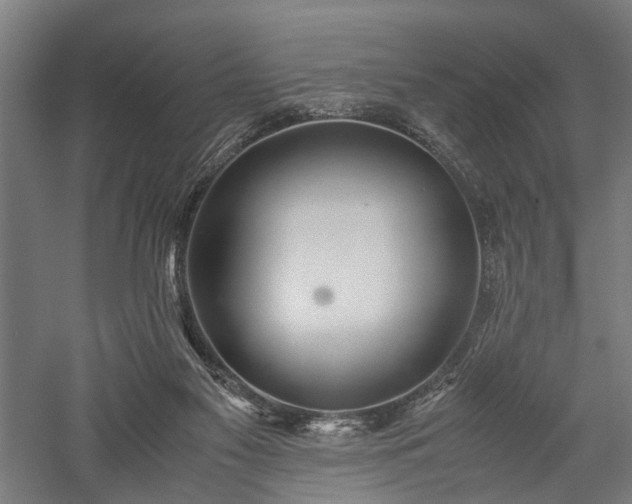 X0000057560117200509231209