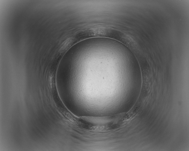 X0000057560123200509231209