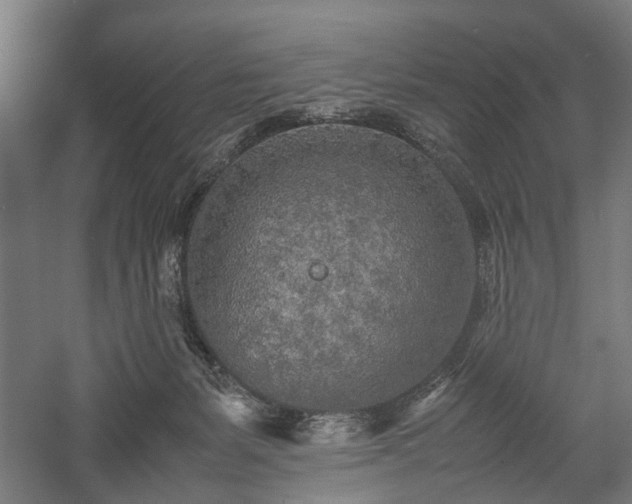 X0000057560127200509231209