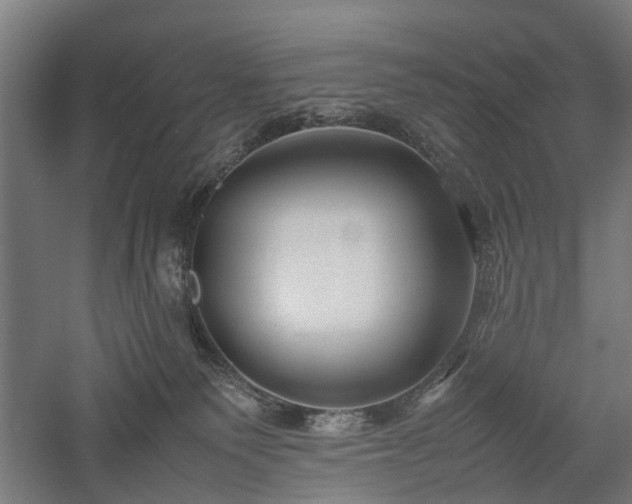 X0000057560135200509231209