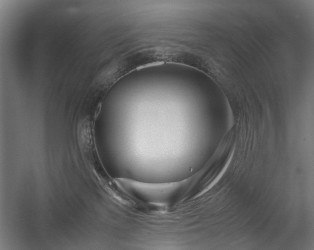 X0000057560137200509231209