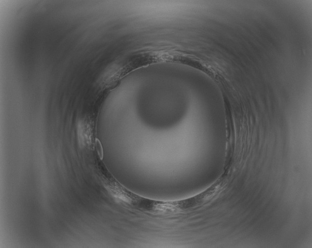 X0000057560139200509231209