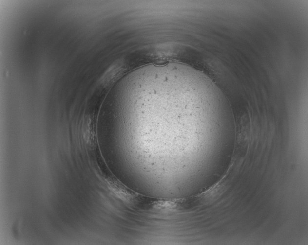 X0000057560140200509231209