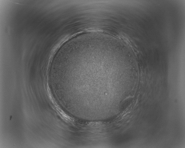 X0000057560145200509231208