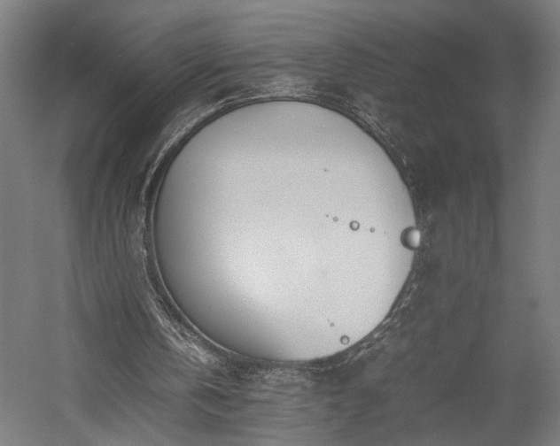 X0000057560146200509231208