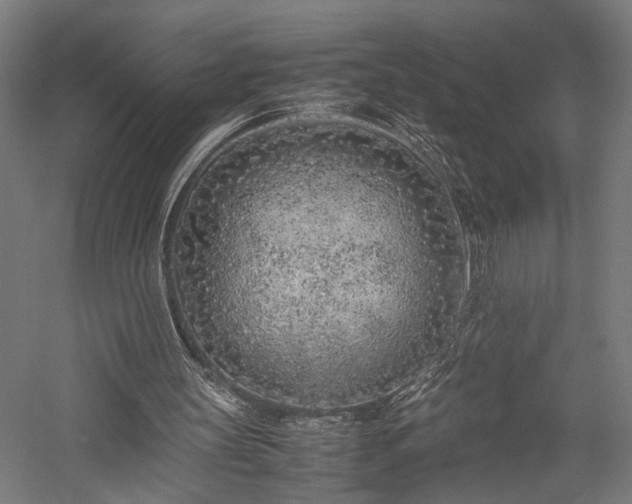 X0000057560147200509231208