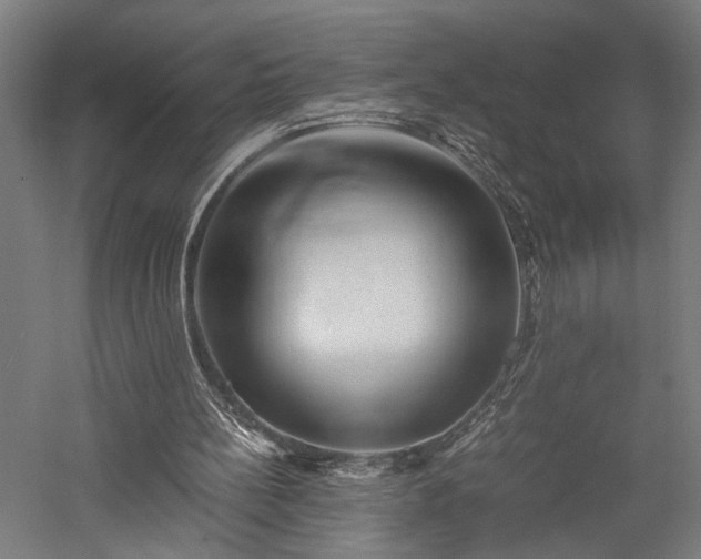 X0000057560148200509231208