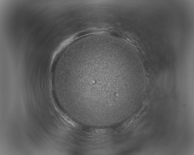 X0000057560149200509231208