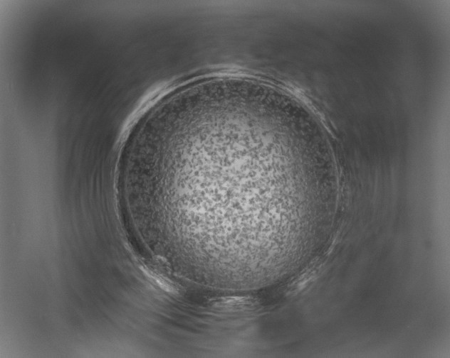 X0000057560151200509231208