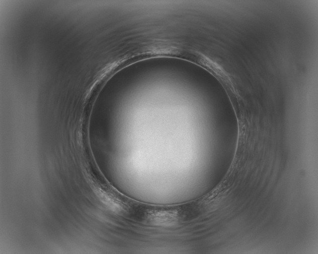 X0000057560155200509231208