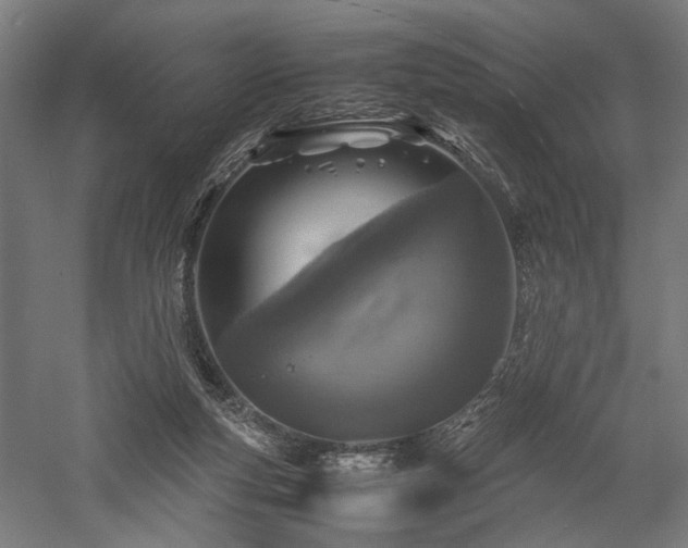 X0000057560163200509231208