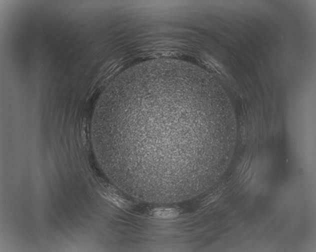 X0000057560169200509231209