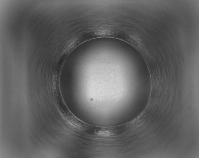 X0000057560171200509231209