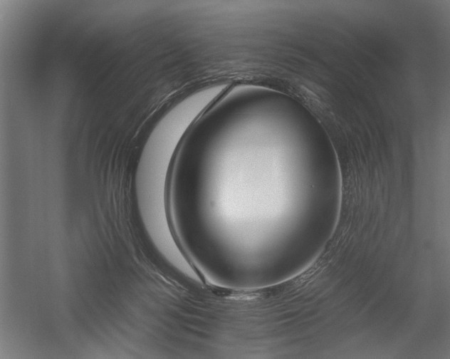 X0000057560172200509231209