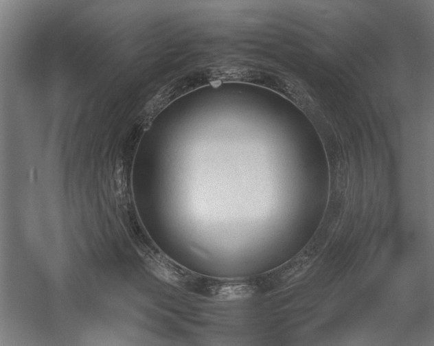 X0000057560173200509231209