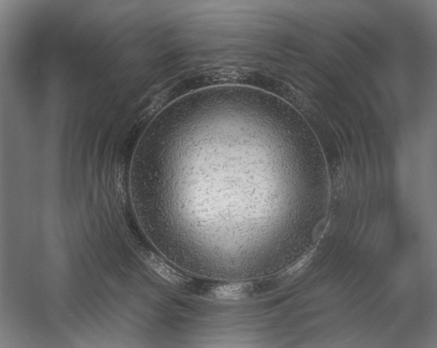 X0000057560178200509231209