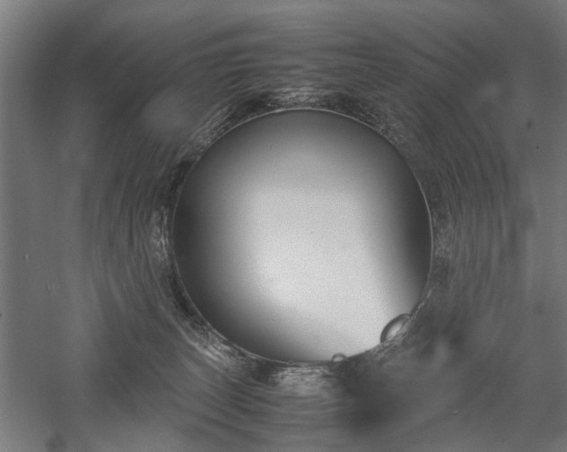 X0000057560179200509231209