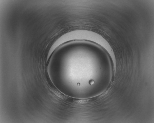 X0000057560184200509231209