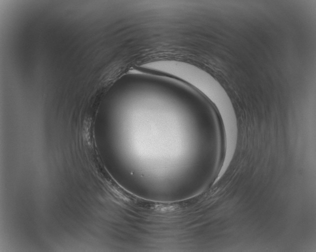 X0000057560185200509231209