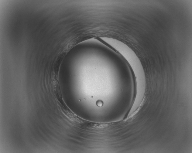 X0000057560186200509231209