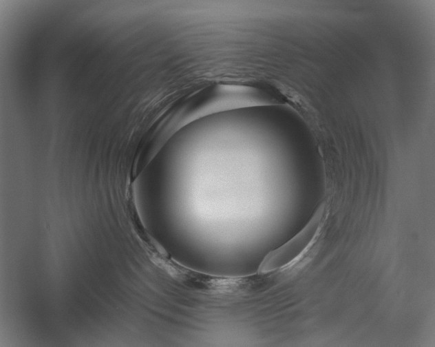 X0000057560192200509231209