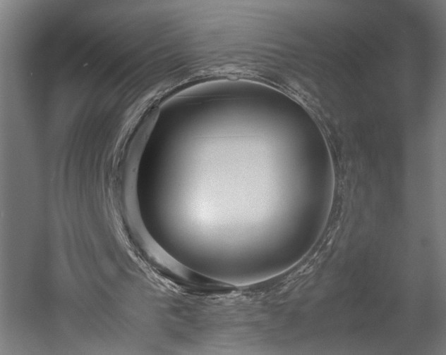 X0000057560193200509231208