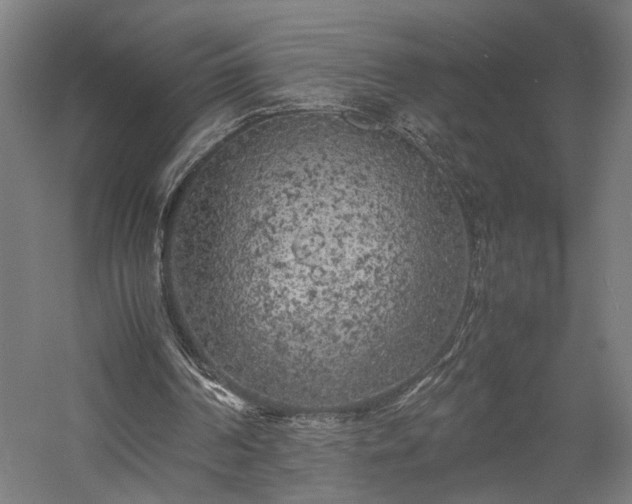 X0000057560194200509231208